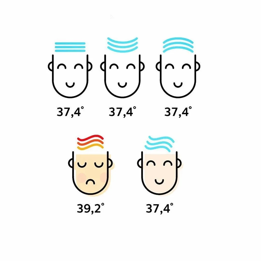 3.webp